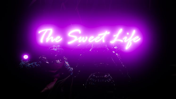 Cover image for Live Streaming from Sweet Life Records — Grant Report #1