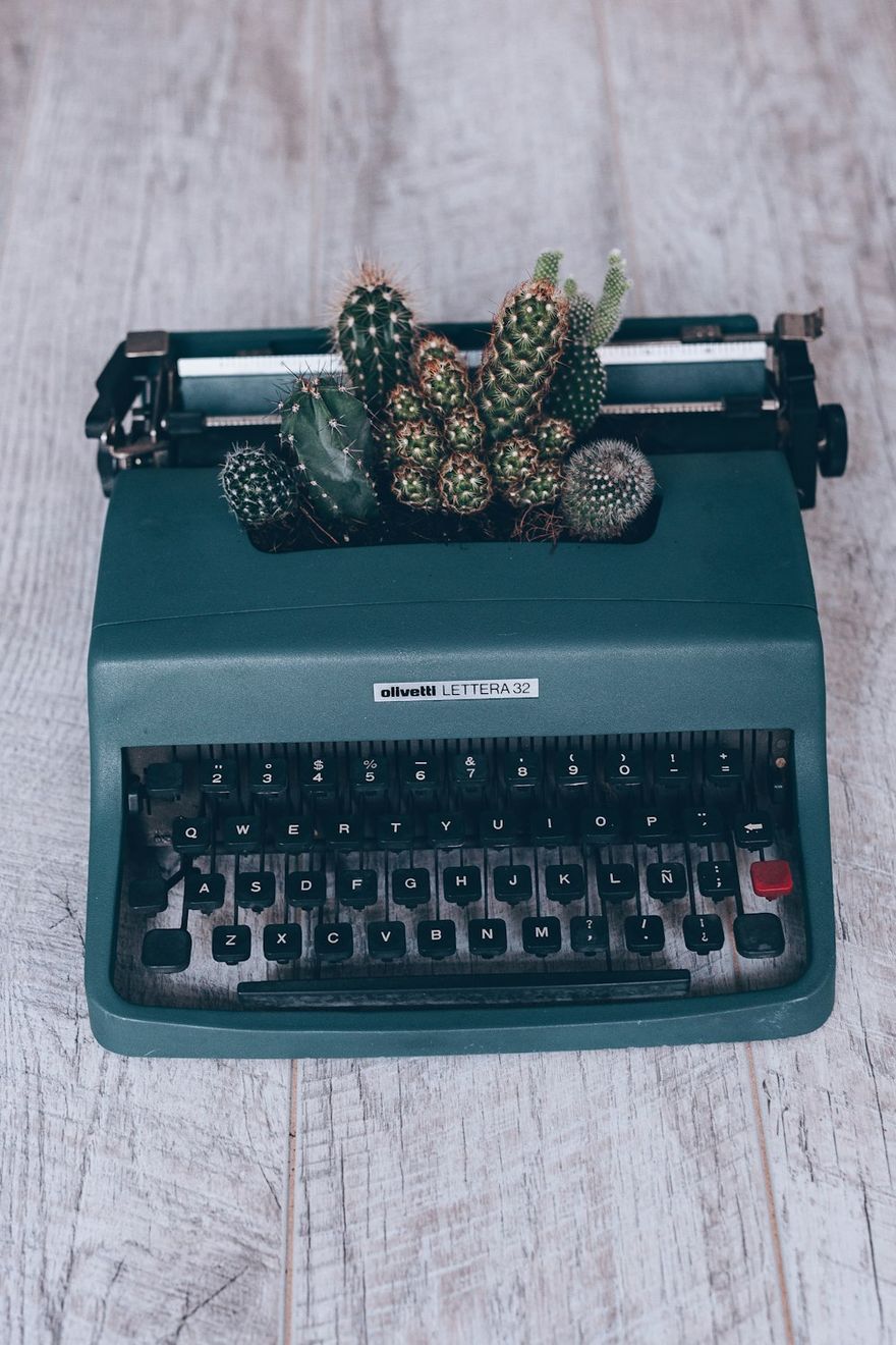 Cacti planted in a typewriter